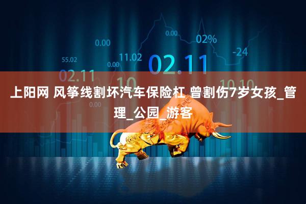 上阳网 风筝线割坏汽车保险杠 曾割伤7岁女孩_管理_公园_游客