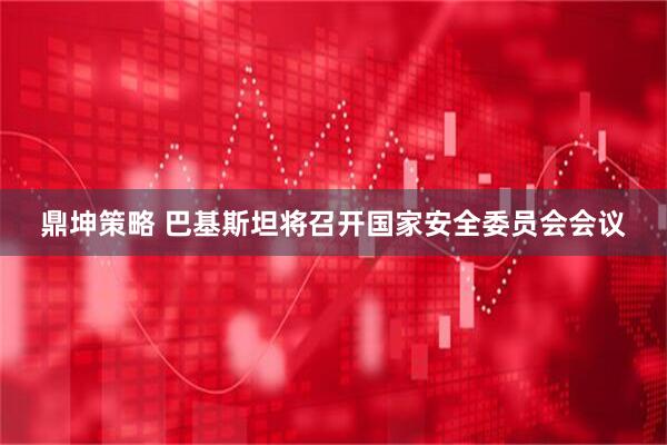 鼎坤策略 巴基斯坦将召开国家安全委员会会议