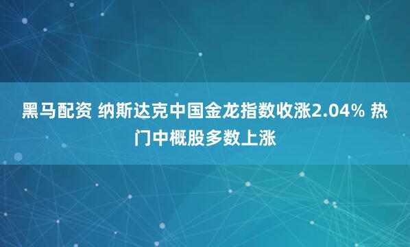黑马配资 纳斯达克中国金龙指数收涨2.04% 热门中概股多数上涨