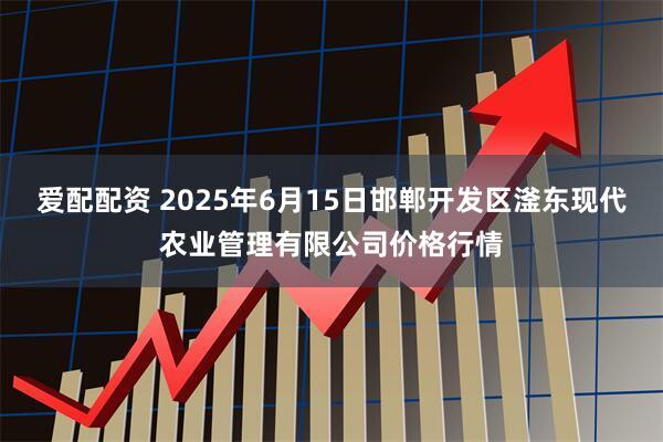 爱配配资 2025年6月15日邯郸开发区滏东现代农业管理有限公司价格行情