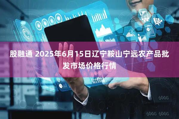 股融通 2025年6月15日辽宁鞍山宁远农产品批发市场价格行情
