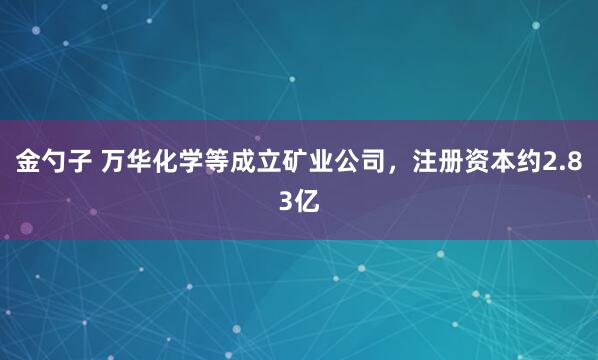 金勺子 万华化学等成立矿业公司，注册资本约2.83亿