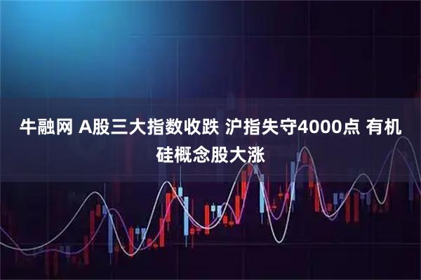 牛融网 A股三大指数收跌 沪指失守4000点 有机硅概念股大涨